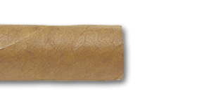 Cohiba Robustos Cuban Cigars