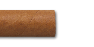 Montecristo Robustos Cuban Cigars