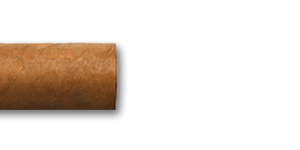 Montecristo Junior Cuban Cigars