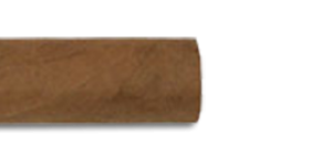 Punch Robustos Cuban Cigars