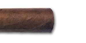 Ramón Allones Short Perfectos - 2014 Cuban Cigars