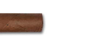 Trinidad Reyes Cuban Cigars