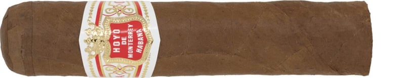 Hoyo-de-Monterrey-Petit-Robustos