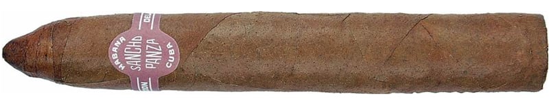 Sancho-Panza-Belicosos