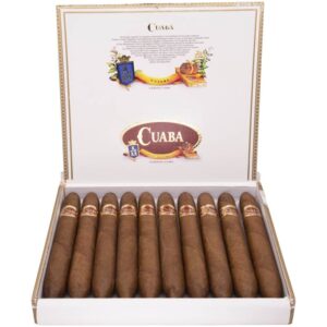cuaba-salomon