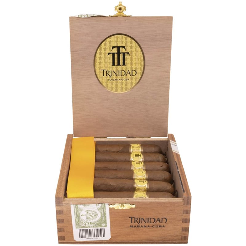 Trinidad Vigía