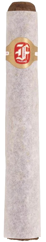 Fonseca Cosacos